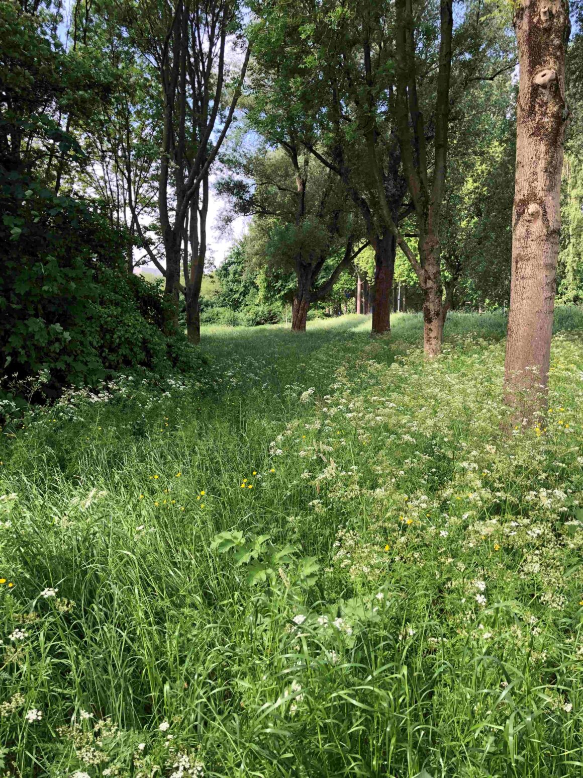 Stiltewandelingen in november en december Stiltewandelingen in november en december