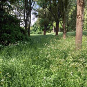 Stiltewandelingen in november en december