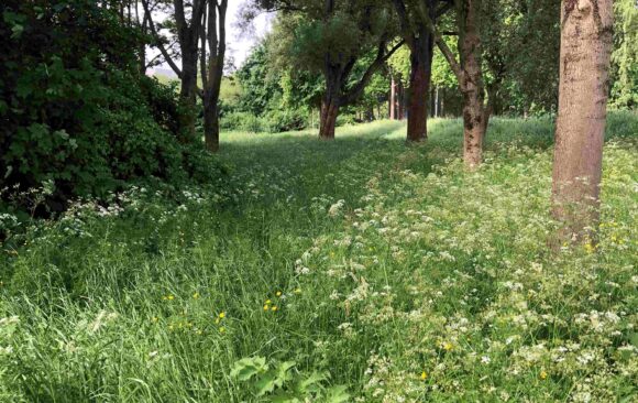 Stiltewandelingen in november en december Stiltewandelingen in november en december