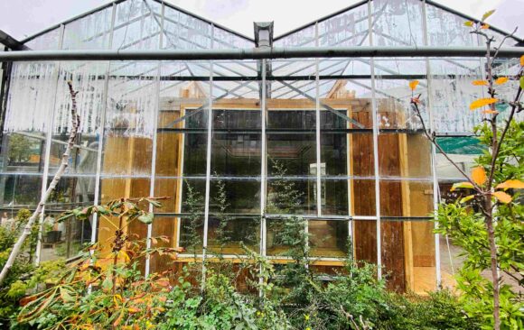 Lekker warm in onze tuinkamer 😎 Lekker warm in onze tuinkamer 😎