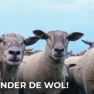 Gratis wol voor in je tuin