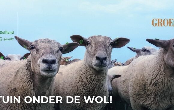 Gratis wol voor in je tuin